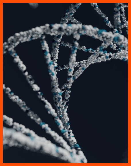 Genetics