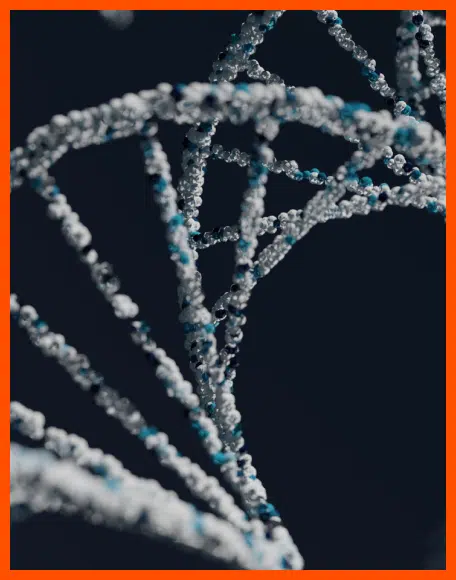 Genetics