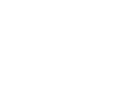white expertise.com logo for Top NYC truck accident lawyers in 2025