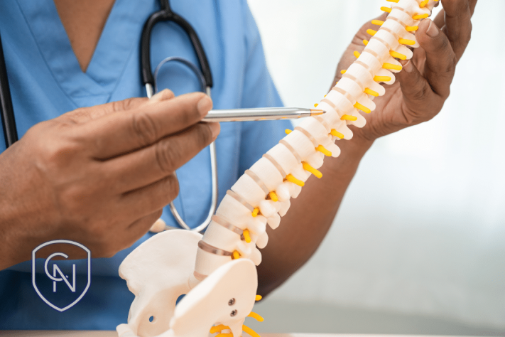 Medical professional pointing to vertebrae on a spine model